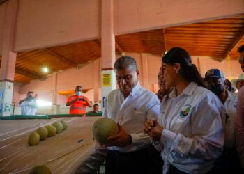 APOYA MARS A PRODUCTORES DE MELÓN Y SANDÍA DE COAHUILA