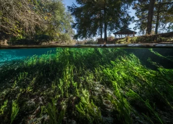 Autoridades texanas toman restricciones ante disminución de su principal fuente de abasto de agua; el acuífero Edwards