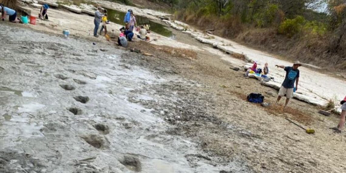 Sequía en río texano deja al descubierto grandes huellas de dinosaurio
