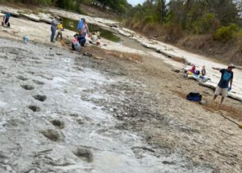 Sequía en río texano deja al descubierto grandes huellas de dinosaurio