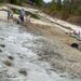 Sequía en río texano deja al descubierto grandes huellas de dinosaurio