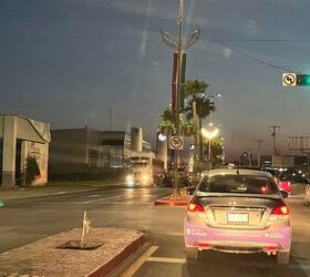 Denuncian tala de palmas en Av. Heroico Colegio Militar de Piedras Negras