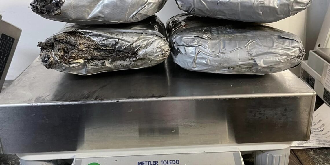 Incautan  en puente más de medio millón de dólares en droga que cruzó por Piedras Negras