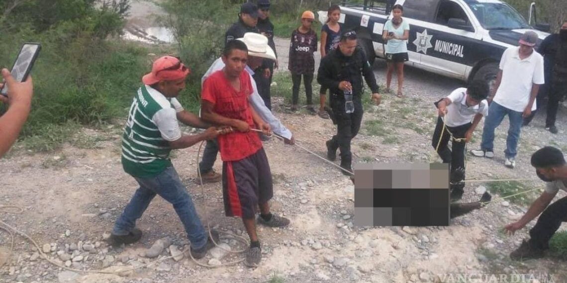 Son vinculados a proceso responsables de la muerte de osezno en Castaños, Coahuila