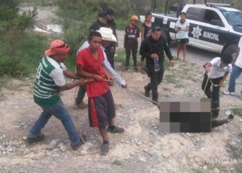 Son vinculados a proceso responsables de la muerte de osezno en Castaños, Coahuila