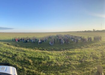 Frontera Piedras Negras-Eagle Pass continúa con cruce de grandes grupos de migrantes, revela la Patrulla Fronteriza