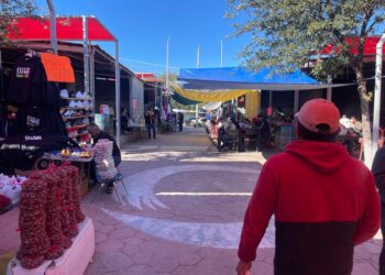 Saquean pulgas de la San Joaquín por falta de vigilancia