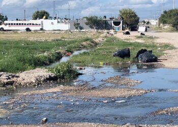 Piedras Negras es el Municipio con más dengue en todo Coahuila
