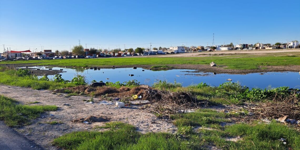 Vertedero de drenaje en colonia Año Dos Mil, convertido en gran laguna permanente