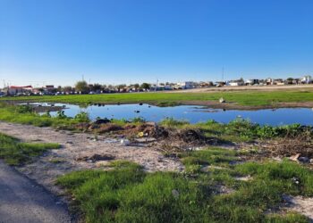 Vertedero de drenaje en colonia Año Dos Mil, convertido en gran laguna permanente
