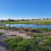 Vertedero de drenaje en colonia Año Dos Mil, convertido en gran laguna permanente