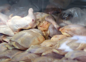 Primero fue el huevo, ahora el pollo aumenta en Piedras Negras