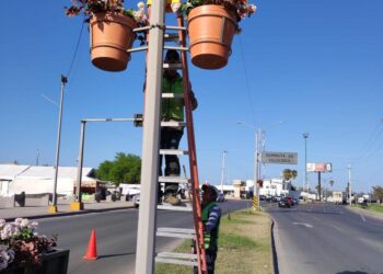 Vuelven maceteros a bulevares de Piedras Negras