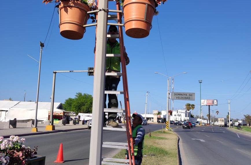 Vuelven maceteros a bulevares de Piedras Negras