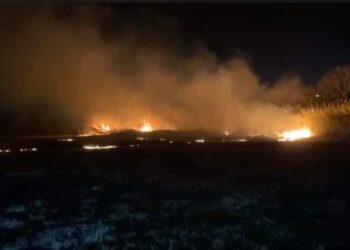 Afirma Norma Treviño que Bosque Urbano «está muy bonito» después de incendio de dos días