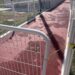 “Municipio debe pedir garantía por obra fallida en pista de Macroplaza”: Ñeca Muñoz