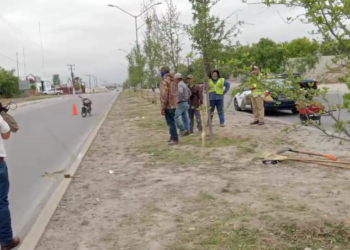 Atropellan a dos empleados del Municipio en bulevar República