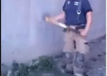 Denuncian a Bomberos de Monclova por m4tar perros