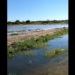 Piden se atiendan lagunas de drenaje colapsado en Acoros 2 y Las Argentinas