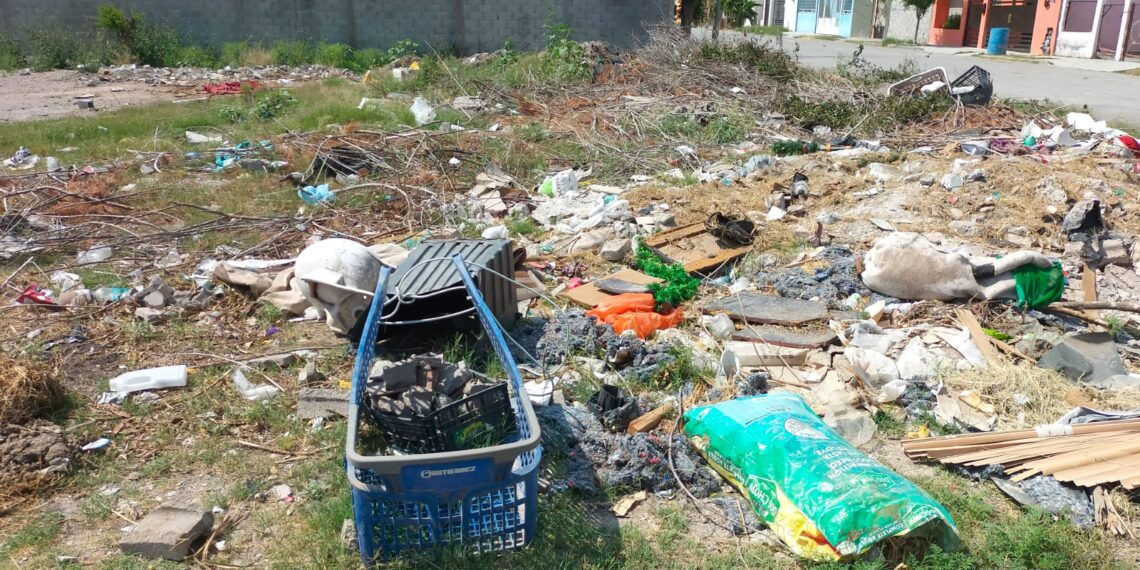 Campañas destapan ciudad sucia e inoperancia de director de Imagen Urbana