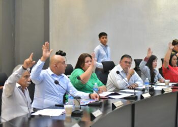 APRUEBA CABILDO EN PRIMERA SESIÓN ORDINARIA DE MAYO DE 2023,  LA CONFORMACIÓN DE COMITÉ DE ZONIFICACIÓN  DE ÁREAS ADYACENTES AL AEROPUERTO INTERNACIONAL