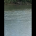 Aparece cocodrilo en el Río Bravo en PN