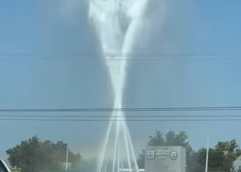 Se desperdicia agua de fuente descompuesta en bulevar Pérez Treviño