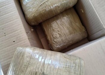 PAN se deslinda de regidora detenida en Texas con droga