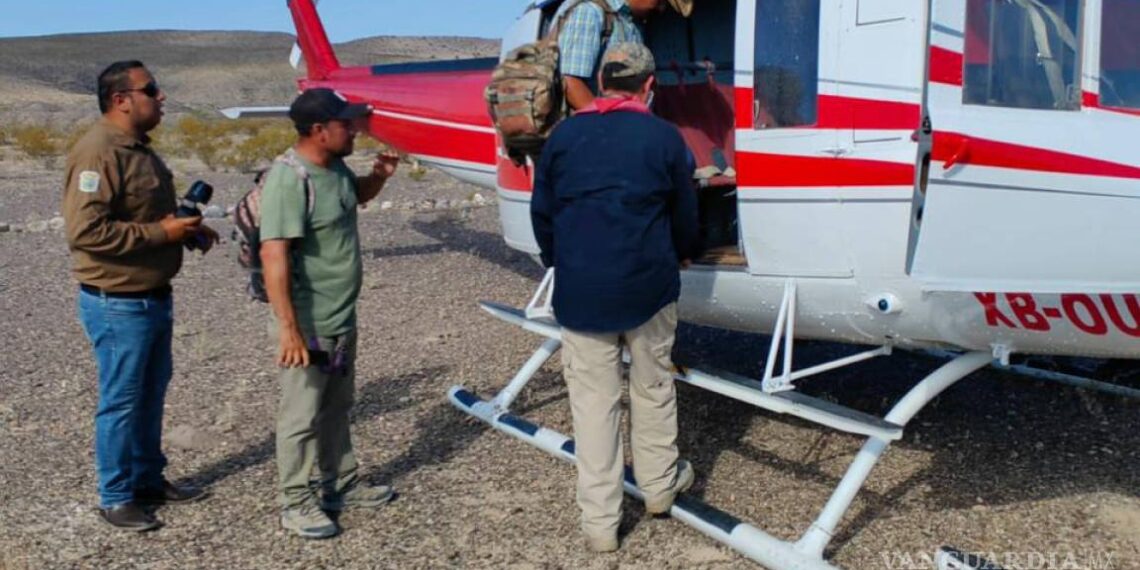 Confirman fallecimiento de 2 de los 4 migrantes desaparecidos en desierto de Ocampo