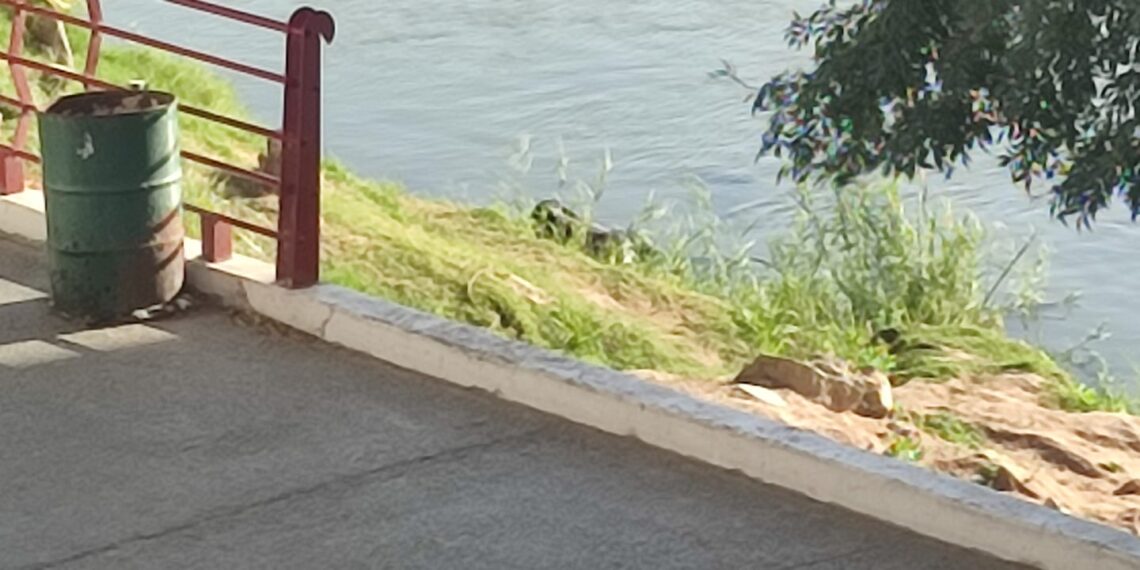 Localizan este lunes otro cuerpo sin vida en el Río Bravo