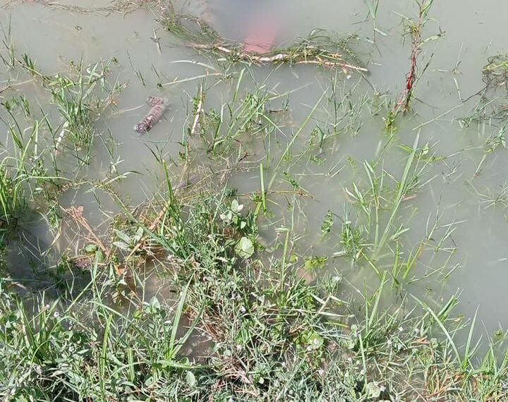 Tragedia en el Río Bravo: encuentran ahog@da a m3nor migrante de 3 años