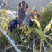 Autoridades de Eagle Pass confirman fallecimiento de menor migrante de 3 años en el Río Bravo
