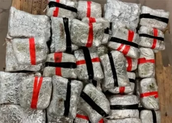 Incautan más de 3 millones de dólares de cristal en Puente Dos Eagle Pass- PN