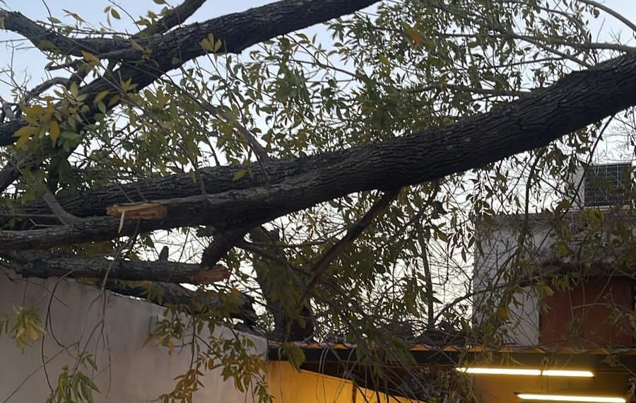 Tras fuertes vientos, se esperan heladas para PN a partir del próximo domingo
