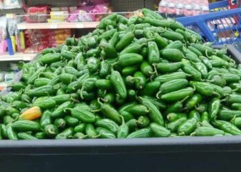 Canaco advierte que incrementarían precios de alimentos por onda gélida