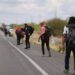 Baja 50% llegada de migrantes a frontera con EU, anuncia Gobierno Federal