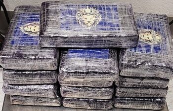 Incautan más de 800 mil dólares en presunta droga en puentes de PN-Eagle Pass