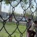 Denuncian ataque de jauría a alumnos de primaria en colonia Villa Real
