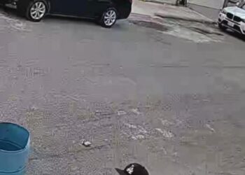 Aumentan reclamos por robos en colonias de Piedras Negras