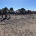 Cientos de migrantes varados en Gómez Palacio, Dgo ante operativo de SEDENA y Migración
