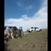 Detienen a soldado de Guardia Nacional de Tx por tráfico de migrante en vehículo oficial