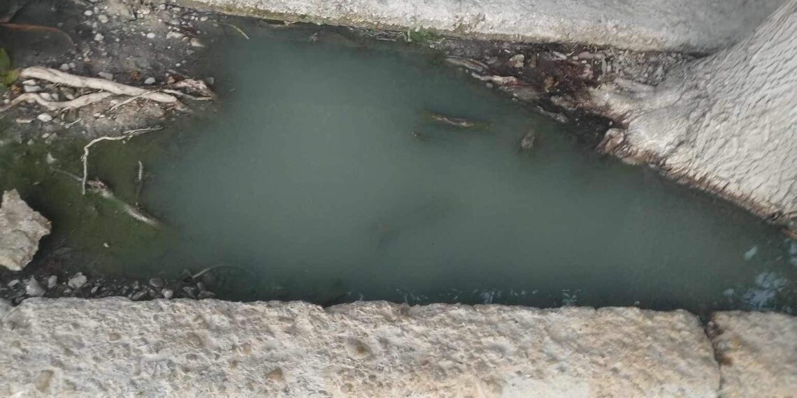 Vecinos de colonia Año Dos Mil denuncian a negocio de pollo frito que tapó drenaje por verter grasa