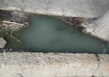 Vecinos de colonia Año Dos Mil denuncian a negocio de pollo frito que tapó drenaje por verter grasa