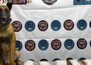 Agente canino de Policía Estatal detecta 10 kgs de metanfetamina en Castaños