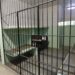 Detenido en celdas de Seguridad Pública falleció por infarto, confirma Fiscalía