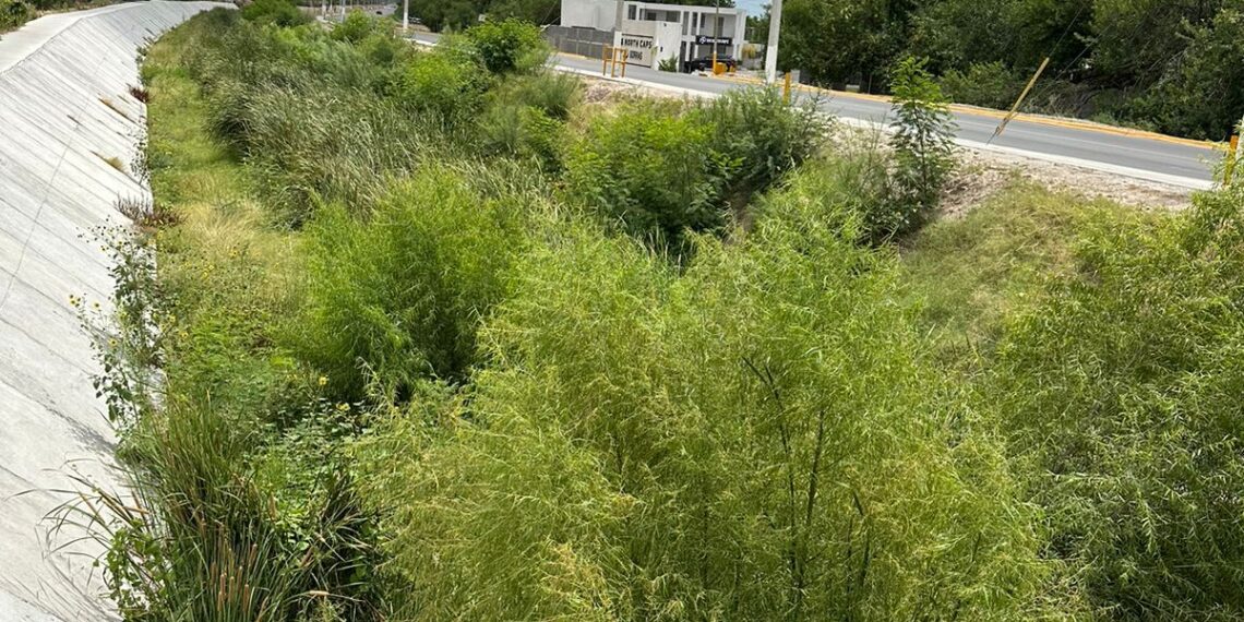 Arroyos obstruidos por falta de mantenimiento en PN a horas de llegada de tormenta tropical