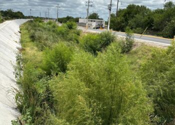 Arroyos obstruidos por falta de mantenimiento en PN a horas de llegada de tormenta tropical