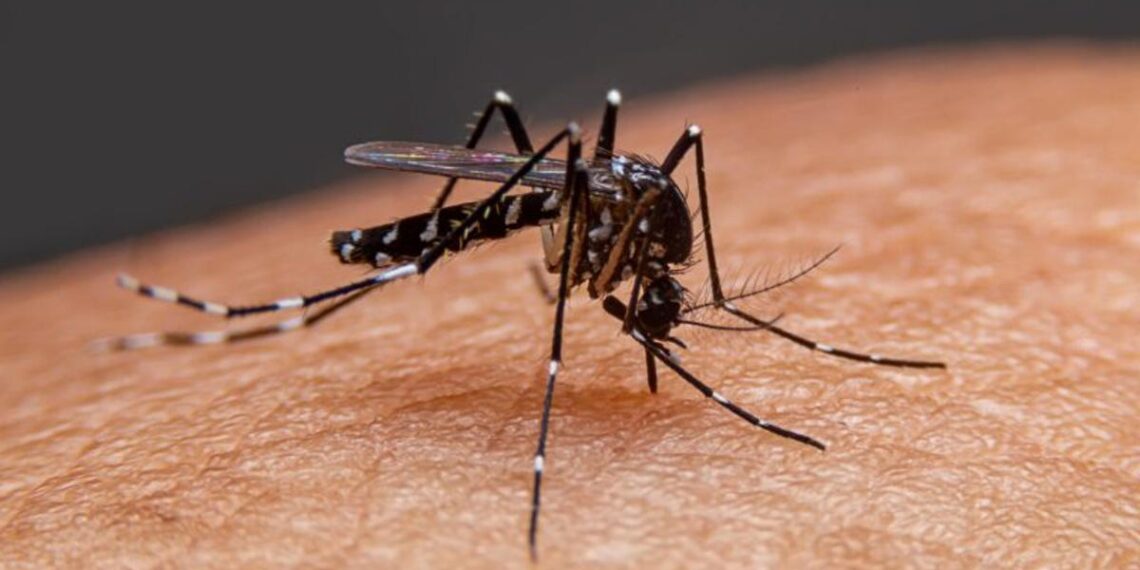 Registra Zaragoza primer muerte por dengue en Coahuila