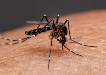 Registra Zaragoza primer muerte por dengue en Coahuila