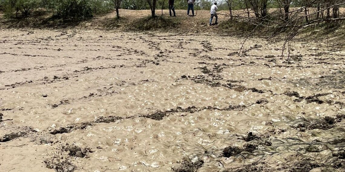PN con sequía severa y aún con sobreexplotación de acuífero